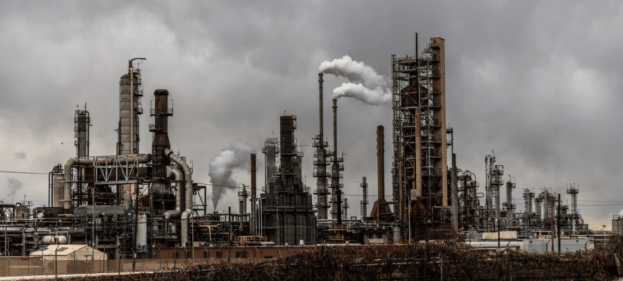 oil and gas industry bird control services