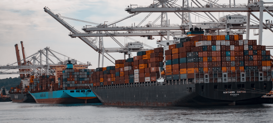Stop birds from perching and nesting in ports