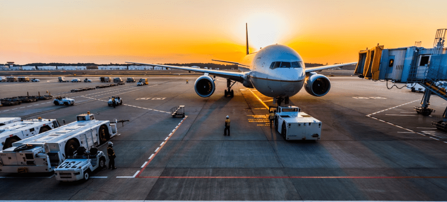 Aviation bird control