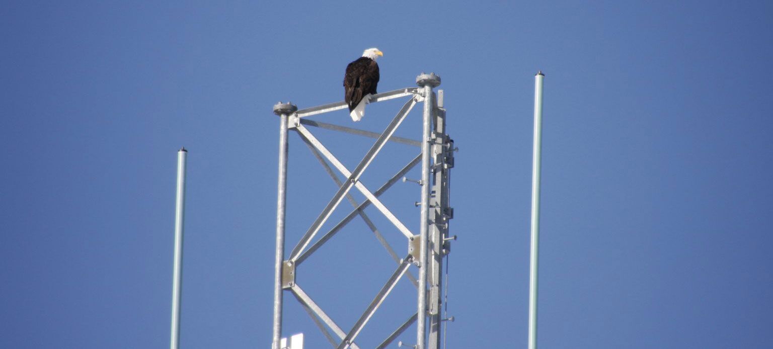 Birdzoff products for preventing perching and nesting on tower areas