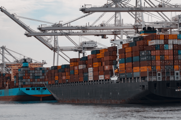image 11 Stop birds from perching and nesting in ports