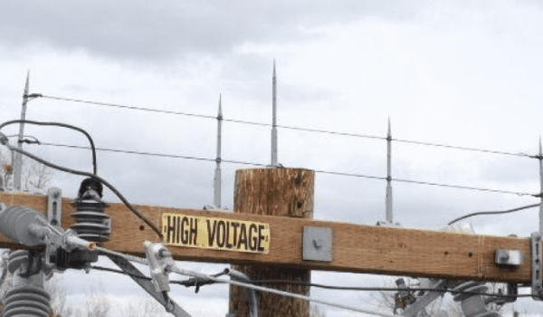 image 14 prevent electric fascilities from birds nesting