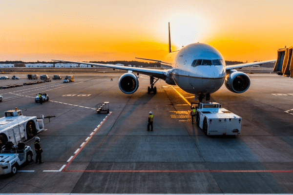 Aviation bird control