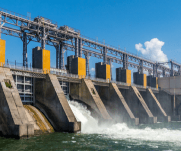 Hydroelectric & Water Reclamation bird control