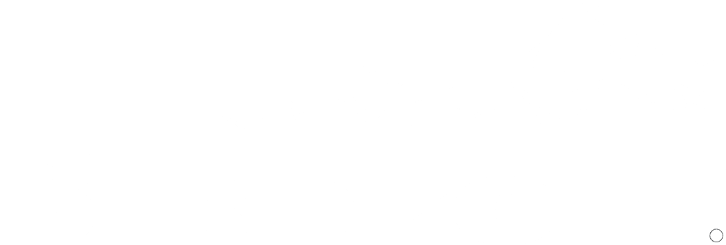 Birdzoff Logo in White Color