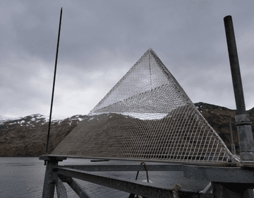 Birdzoff Pyramid that keeps large birds from nesting on towers