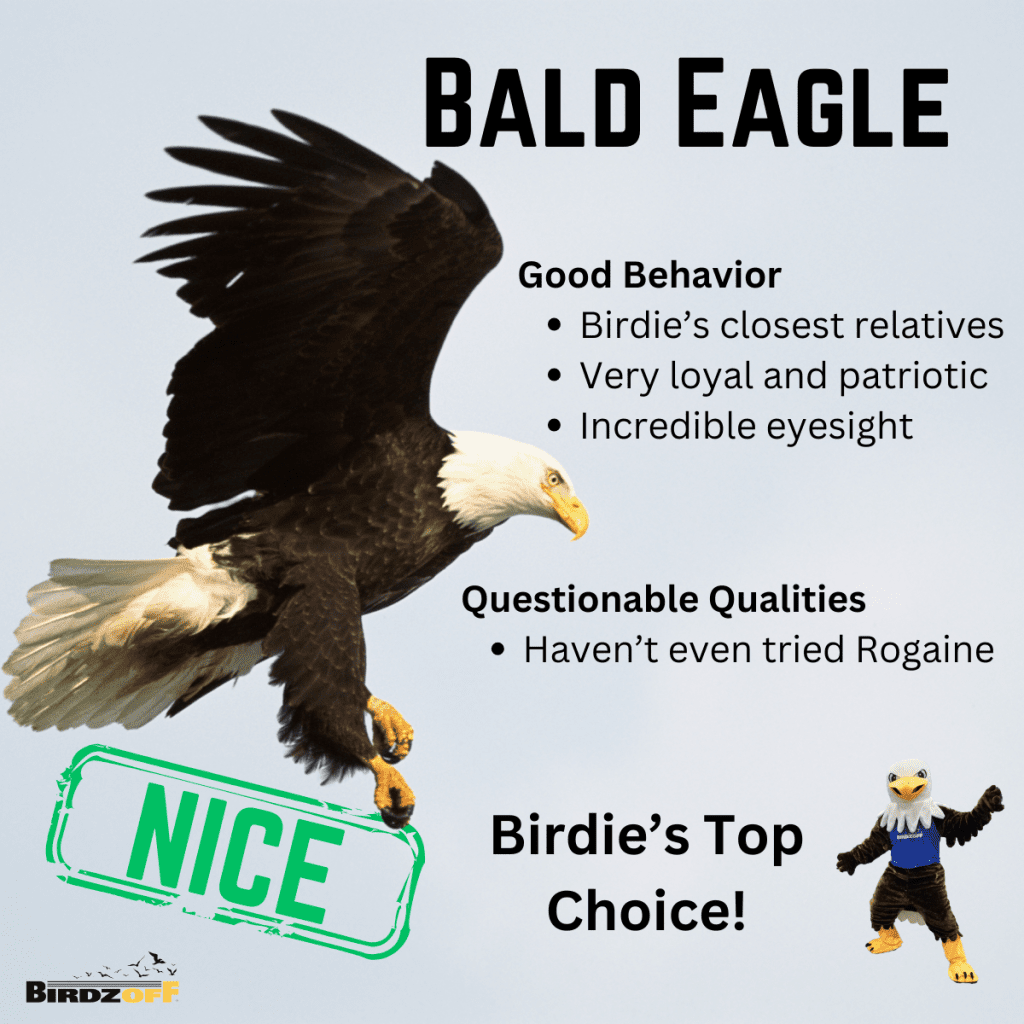 Good Behavior Birdie’s closest relatives Very loyal and patriotic Incredible eyesight Questionable Qualities Haven’t even tried Rogaine