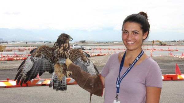 Areanna Sabine, bird deterrent ceo