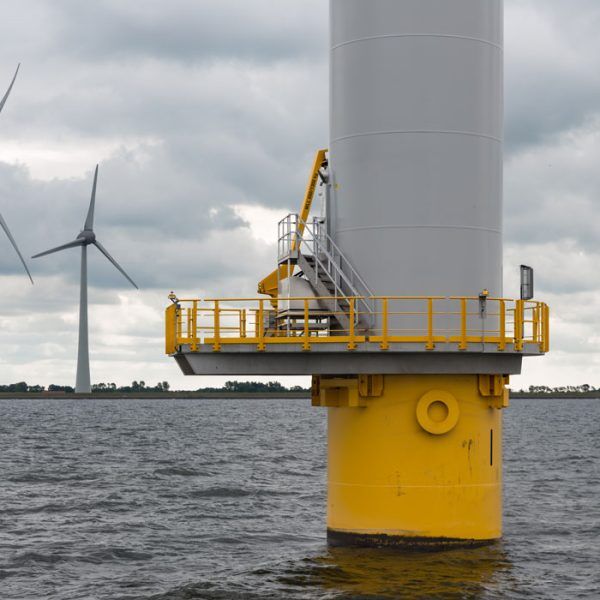 Bird Deterrence Solutions in Offshore Wind Projects